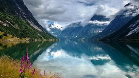 Norwegian Fjords  Gemi Seyahatleri Cruise turlari