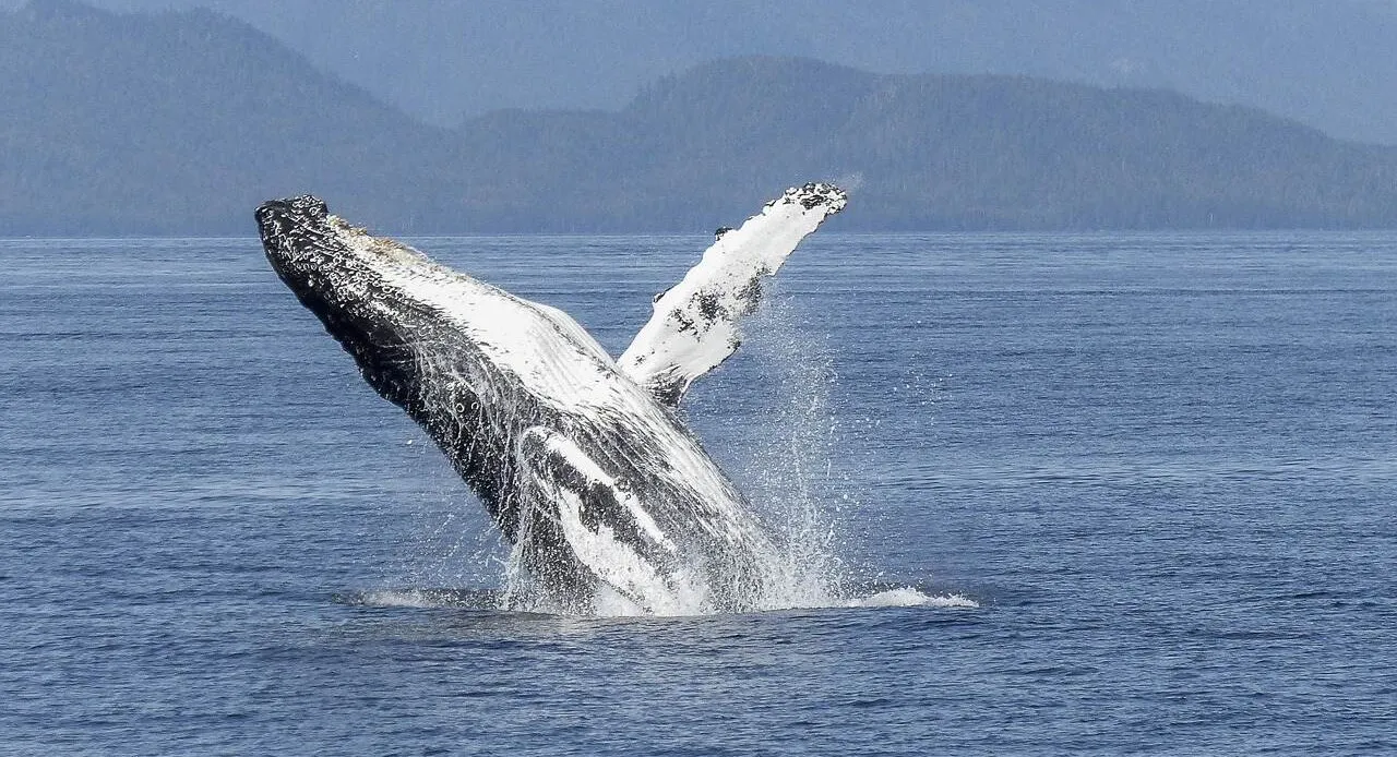 South American Coasts with Celebrity Equinox (Fly & Cruise)-3